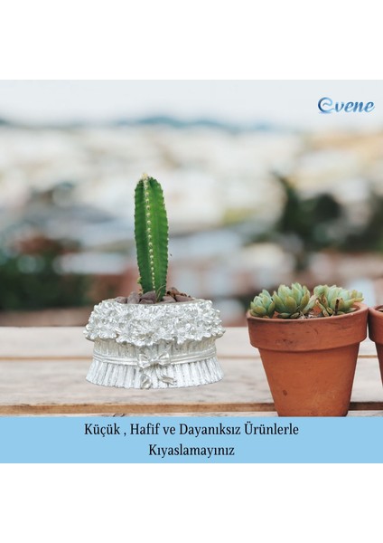 Mini Çiçek Saksı Küçük Sukulent Kaktüs Saksısı 3'lü Set Çiçekli Fiyonklu Model