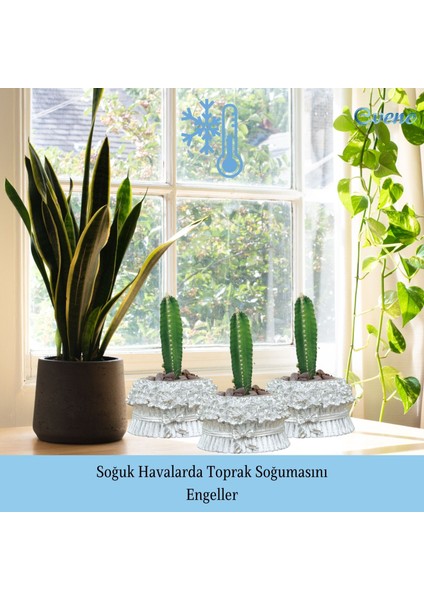 Mini Çiçek Saksı Küçük Sukulent Kaktüs Saksısı 3'lü Set Çiçekli Fiyonklu Model