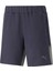 Teamcup Casuals Shorts Erkek Futbol Şortu 65798906 Lacivert 1