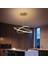 Saturn Gold Modern Mutfak Banyo LED Salon Sarkıt Avize 1