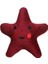 Star 1 Sesli, Peluş Nakışlı Küçük Irk ve Yavru Köpek Oyuncağı 13 cm 1