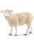 13882 Schleich - Koyun +3 Yaş 2