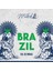Brazil Sul De Minas Çekirdek Kahve 250G 3