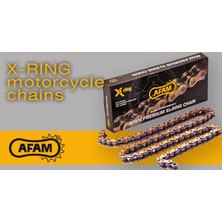 Afam A520-106XMR3 2017-2022 Cf Moto 250NK Uyumlu Zincir Xmr3 Xring Çelik Renk