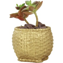 Evene Mini Çiçek Saksı Küçük Sukulent Kaktüs Saksısı Sepet Örgü Saksı Model