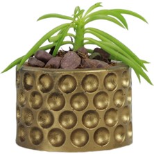 Evene Mini Çiçek Saksı Küçük Sukulent Kaktüs Saksısı Puantiyeli Model