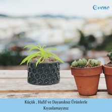 Evene Mini Çiçek Saksı Küçük Sukulent Kaktüs Saksısı Puantiyeli Model