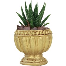 Evene Mini Çiçek Saksı Küçük Sukulent Kaktüs Saksısı Antika Vazo Model