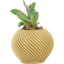 Evene Mini Çiçek Saksı Küçük Sukulent Kaktüs Saksısı Ince Çizgili Spiral Model