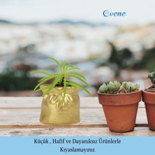 Evene Mini Çiçek Saksı Küçük Sukulent Kaktüs Saksısı Kese Model