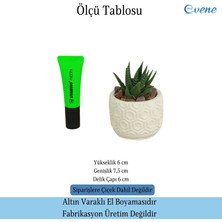 Evene Mini Çiçek Saksı Küçük Sukulent Kaktüs Saksısı Altıgen Desenli Model