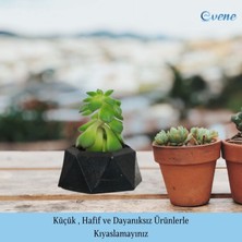 Evene Mini Çiçek Saksı Küçük Sukulent Kaktüs Saksısı Mini Poly 2 Model