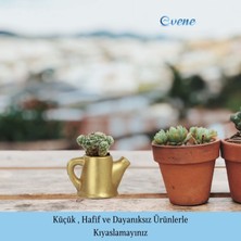 Evene Mini Çiçek Saksı Küçük Sukulent Kaktüs Saksısı Mini Çaydanlık Model