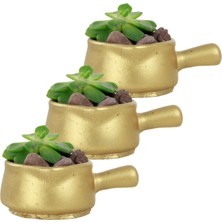 Evene Mini Çiçek Saksı Küçük Sukulent Kaktüs Saksısı 3'lü Set Mini Tava Model