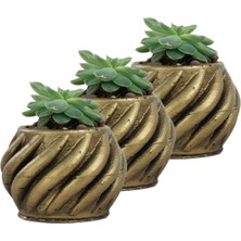 Evene Mini Çiçek Saksı Küçük Sukulent Eskitme Kaktüs Saksısı 3'lü Set Kalın Çizgili Spiral Model