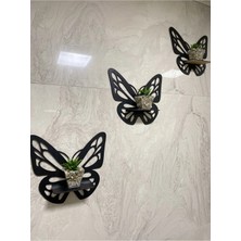 Evde Ucuz Dekoratif Kelebek Duvar Rafı 3'lü Set
