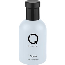 Qolory Sane Eau De Perfume 100 ml Unisex Edp Parfüm