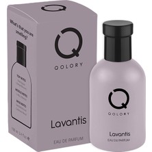 Qolory Lavantis Eau De Perfume 100 ml Unisex Edp Parfüm