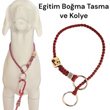 VSLT Handmade Egitim Tasma,Boğma Tasma,Köpek Kolye,Choke dog collar.Dog training collar