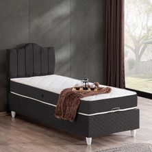 Setay Trend Tek Kişilik Baza Başlık Letto Yatak Seti - Antrasit