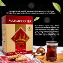 Mahmood Tea Seylan Pekoe Dökme Çayı 800 gr + Bardak