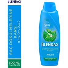 Blendax Saç Dökülmelerine Karşı Isırgan Özlü Şampuan 500 Ml