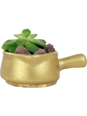 Evene Mini Çiçek Saksı Küçük Sukulent Kaktüs Saksısı Tava Model