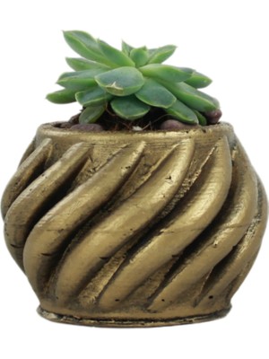 Evene Mini Çiçek Saksı Küçük Sukulent Kaktüs Saksısı Kalın Çizgili Spiral Model