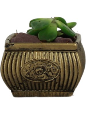 Evene Mini Çiçek Saksı Küçük Sukulent Kaktüs Saksısı Mini Çiçekli Model