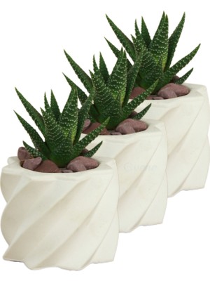 Evene Mini Çiçek Saksı Küçük Sukulent Kaktüs Saksısı 3'lü Set Kalın Çizgili Yıldız Model