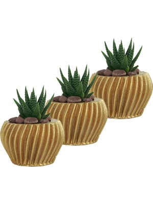 Evene Mini Çiçek Saksı Küçük Sukulent Kaktüs Saksısı 3'lü Set Derin Çizgili Spiral Model