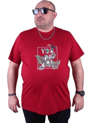 Starbattal Büyük Beden Sıfır Yaka Tişört Tropical 23114 Bordo