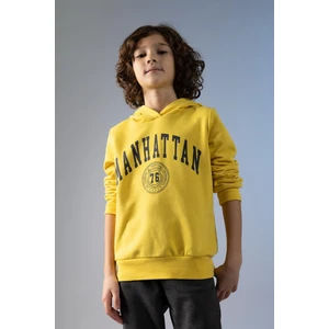 Erkek Çocuk Regular Fit Kapüşonlu Sweatshirt Z4596A623SP