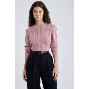 Regular Fit Bisiklet Yaka Kazak X5910AZ22WN