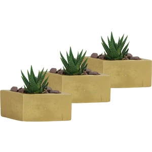 Mini Çiçek Saksı Küçük Sukulent Kaktüs Saksısı 3'lü Set Dörtgen Yatay Model