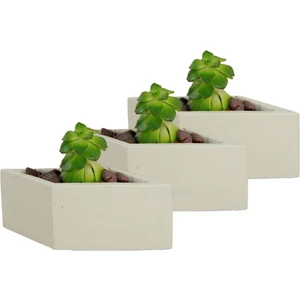Mini Çiçek Saksı Küçük Sukulent Kaktüs Saksısı 3'lü Set Dörtgen Yatay Model