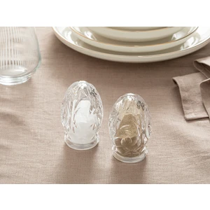 English Home Peggy Cam 2'li Tuzluk - Bıberlık 5,5x8,5 cm Şeffaf