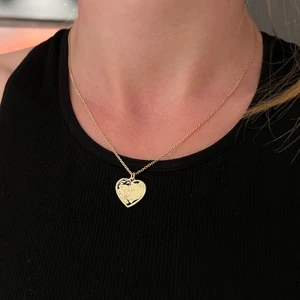 Nida Jewelry 925 Ayar Gümüş Çift Aslan Kolye