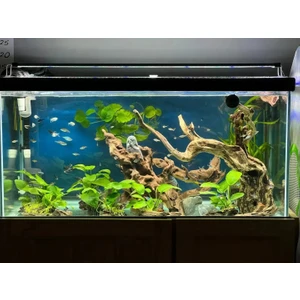 Shark Akvaryum Aydınlatma Sistemleri 95 cm ( 100-105 cm uyumlu ) Fullspectrum 4 Renk, 4sıra Osram Marka Ledli