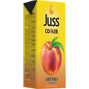 Cooler 1/5 Şeftali Meyveli Içecek 27 Li