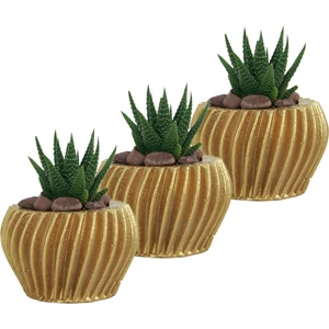 Mini Çiçek Saksı Küçük Sukulent Kaktüs Saksısı 3'lü Set Derin Çizgili Spiral Model