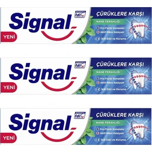 Çürüklere Karşı Karşı  Diş Macunu Nane Ferahlığı 50 ml 3 Adet
