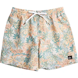 Re-Mix 17 Erkek Volley Short EQYJV04004