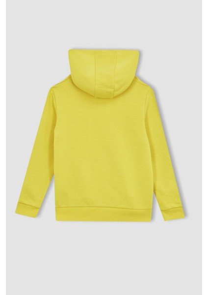 Erkek Çocuk Regular Fit Kapüşonlu Sweatshirt Z4596A623SP