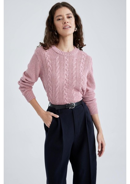 Regular Fit Bisiklet Yaka Kazak X5910AZ22WN modelleri