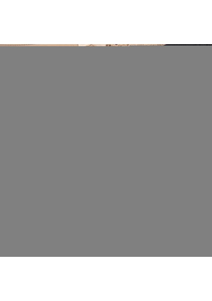 Pamuklu Koyu Kadın Külot Dantelli Yüksek Bel 5 Li Set Paket Likralı Slip Büyük Beden Geniş Kenarlı fiyatları