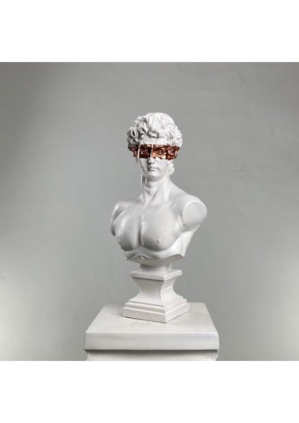 David "bronze Eyes" Heykel, Büyük Boy Büst, Özel Tasarım Dekoratif Heykel, Michelangelo David fiyatları