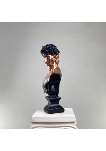 David "bitter Chrome" Heykel, Büyük Boy Büst, Özel Tasarım Dekoratif Heykel, Michelangelo David modelleri