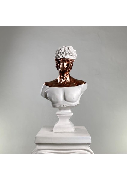 David "royal Copper" Heykel, Büyük Boy Büst, Özel Tasarım Dekoratif Heykel, Michelangelo David
