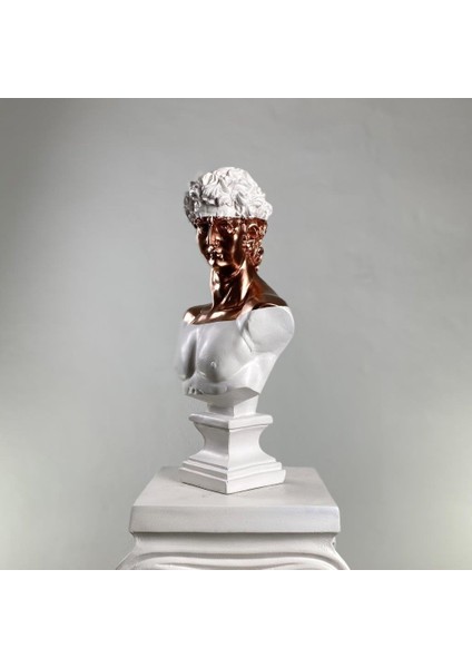 David "royal Copper" Heykel, Büyük Boy Büst, Özel Tasarım Dekoratif Heykel, Michelangelo David modelleri